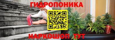 стафф Краснознаменск