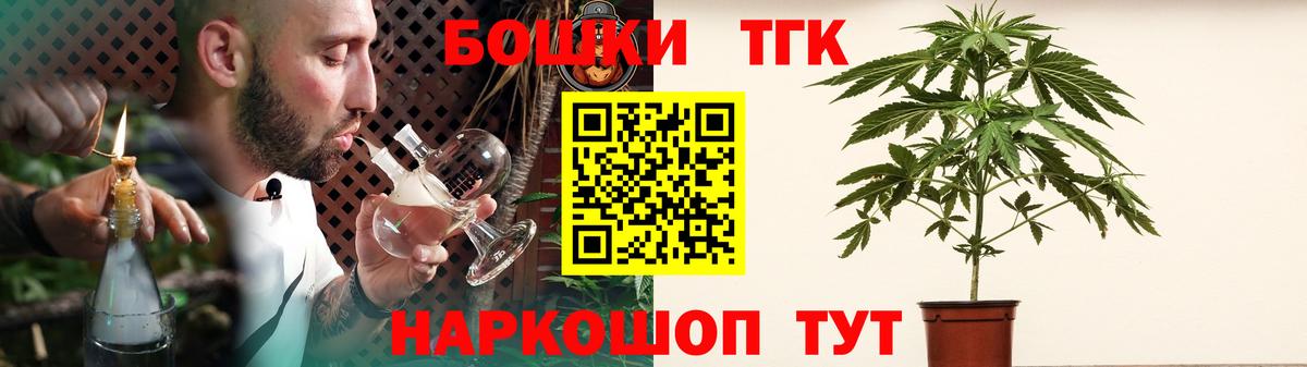 Конопля гибрид Кольчугино